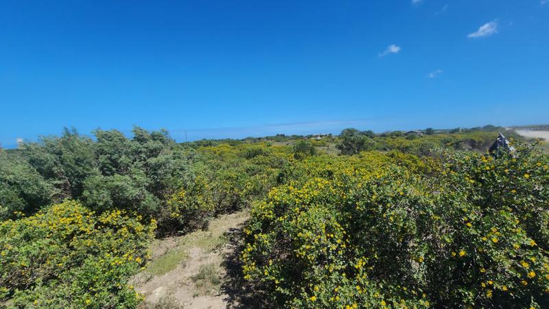 0 Bedroom Property for Sale in Paradise Beach Eastern Cape